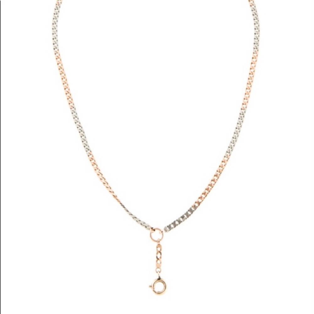 Platinum, 14K rose & yellow charm holder necklace